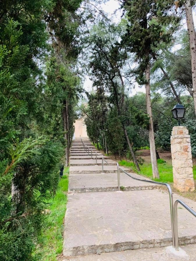 Villa Conchin Casa Junto A Parque Natural Alberic Екстер'єр фото